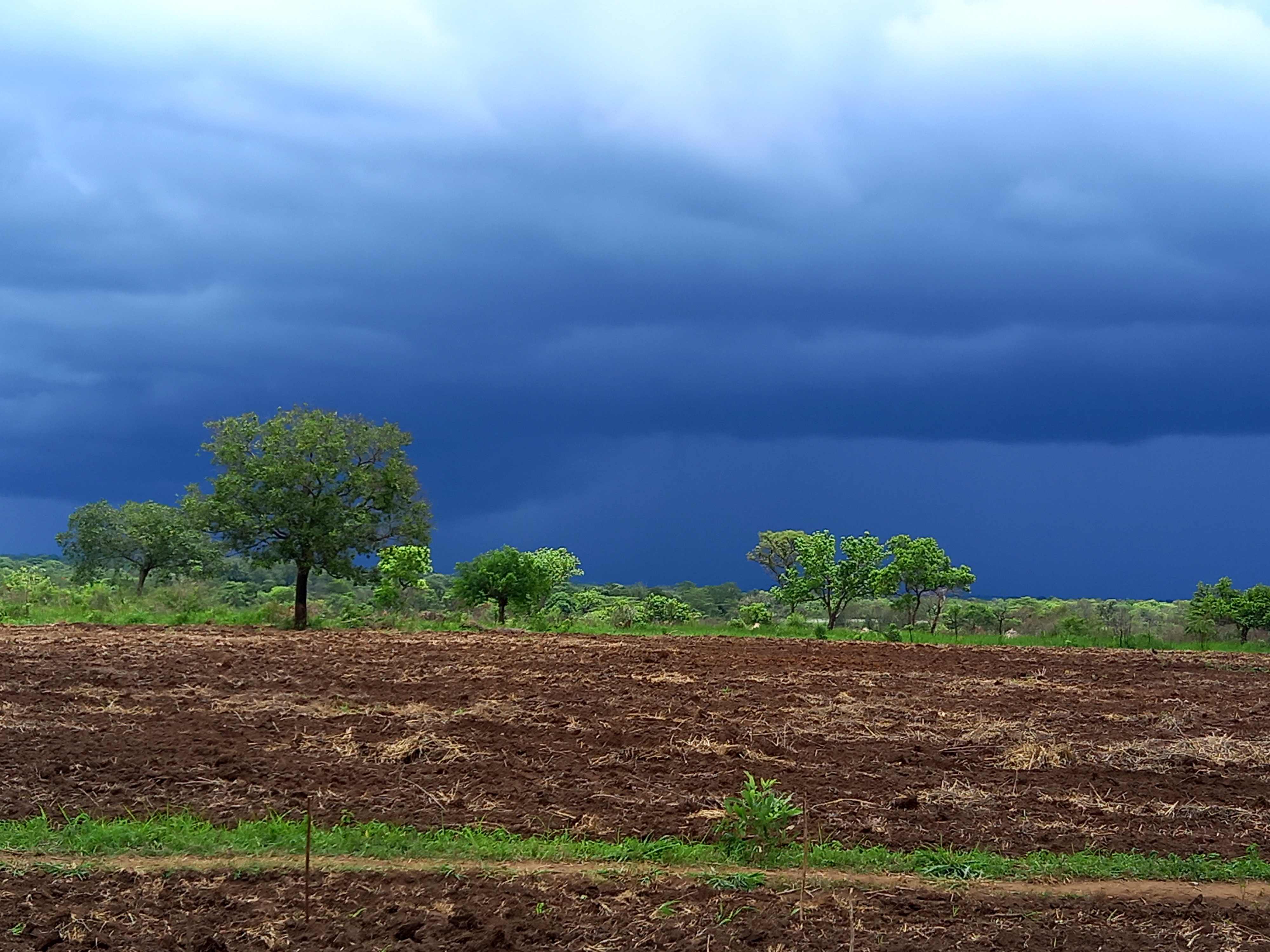 Farm Image